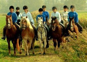 Gest�t Ponyland Norddeich
