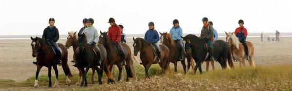 Gest�t Ponyland Norddeich